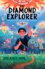 Book cover for "The diamond explorer"