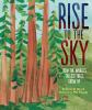 Book cover for "Rise to the sky"