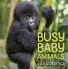 Book cover for "Busy baby animals"