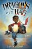 Book cover for "Dragons in a bag"