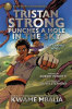 Book cover for "Tristan Strong punches a hole in the sky"